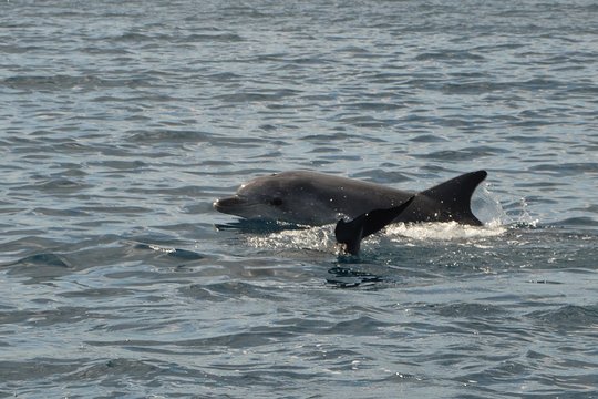 Tour image 6